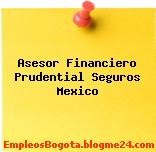 Asesor Financiero Prudential Seguros Mexico