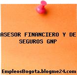ASESOR FINANCIERO Y DE SEGUROS GNP