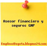Asesor financiero y seguros GNP