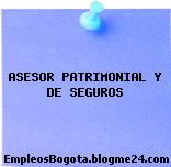ASESOR PATRIMONIAL Y DE SEGUROS