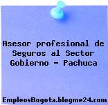 Asesor profesional de Seguros al Sector Gobierno – Pachuca