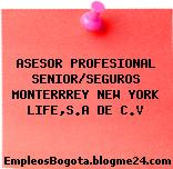ASESOR PROFESIONAL SENIOR/SEGUROS MONTERRREY NEW YORK LIFE,S.A DE C.V