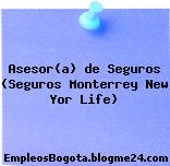Asesor(a) de Seguros (Seguros Monterrey New Yor Life)