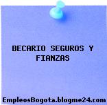 BECARIO SEGUROS Y FIANZAS