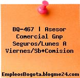 BQ-467 | Asesor Comercial Gnp Seguros/Lunes A Viernes/Sb+Comision