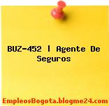 BUZ-452 | Agente De Seguros
