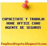 CAPACITATE Y TRABAJA HOME OFFICE COMO AGENTE DE SEGUROS