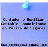Contador o Auxiliar Contable Conocimiento en Poliza de Seguros