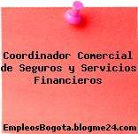 Coordinador Comercial de Seguros y Servicios Financieros