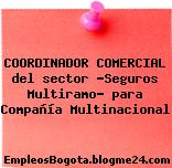 COORDINADOR COMERCIAL del sector “Seguros Multiramo” para Compañía Multinacional
