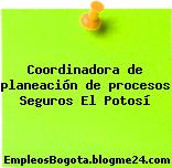 Coordinadora de planeación de procesos Seguros El Potosí
