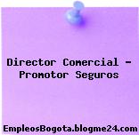 Director Comercial – Promotor Seguros