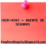 (DZK-839) – AGENTE DE SEGUROS