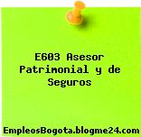 E603 Asesor Patrimonial y de Seguros