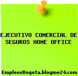 EJECUTIVO COMERCIAL DE SEGUROS HOME OFFICE