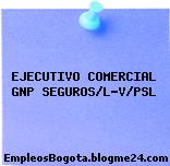 EJECUTIVO COMERCIAL GNP SEGUROS/L-V/PSL