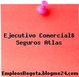 Ejecutivo Comercial& Seguros Atlas