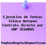 Ejecutivo de Ventas Toluca Metepec Contrato directo por GNP SEGUROS