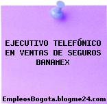 EJECUTIVO TELEFÓNICO EN VENTAS DE SEGUROS BANAMEX