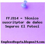 FFJ314 – Técnico suscritptor de daños Seguros El Potosí