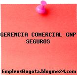 GERENCIA COMERCIAL GNP SEGUROS