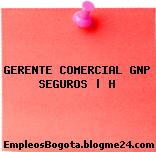 GERENTE COMERCIAL GNP SEGUROS | H