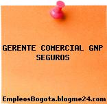GERENTE COMERCIAL GNP SEGUROS
