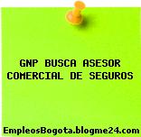 GNP BUSCA ASESOR COMERCIAL DE SEGUROS