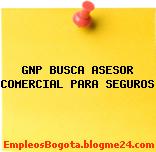 GNP BUSCA ASESOR COMERCIAL PARA SEGUROS
