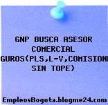 GNP BUSCA ASESOR COMERCIAL SEGUROS(PLS,L-V,COMISIONES SIN TOPE)