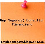 Gnp Seguros: Consultor Financiero
