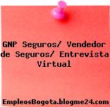 GNP Seguros/ Vendedor de Seguros/ Entrevista Virtual