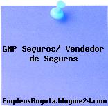 GNP Seguros/ Vendedor de Seguros