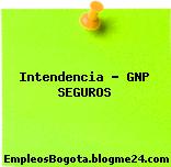 Intendencia – GNP SEGUROS