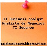IT Business analyst Analista de Negocios TI Seguros