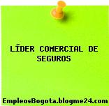 LÍDER COMERCIAL DE SEGUROS