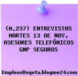 (M.237) ENTREVISTAS MARTES 13 DE NOV, ASESORES TELEFÓNICOS GNP SEGUROS