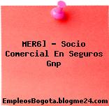 MER6] – Socio Comercial En Seguros Gnp