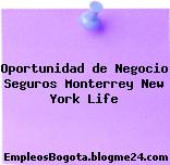Oportunidad de Negocio Seguros Monterrey New York Life