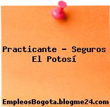 Practicante – Seguros El Potosí