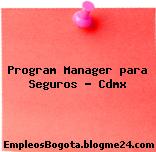 Program Manager para Seguros – Cdmx