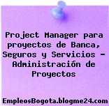 Project Manager para proyectos de Banca, Seguros y Servicios – Administración de Proyectos