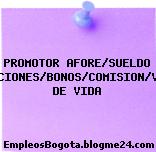 PROMOTOR AFORE/SUELDO BASE/PRESTACIONES/BONOS/COMISION/VALES/SEGURO DE VIDA