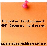 Promotor Profesional GNP Seguros Monterrey