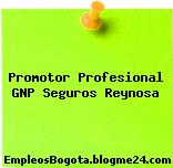 Promotor Profesional GNP Seguros Reynosa