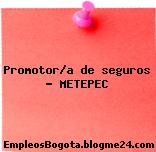 Promotor/a de seguros – METEPEC