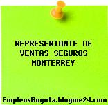 REPRESENTANTE DE VENTAS SEGUROS MONTERREY