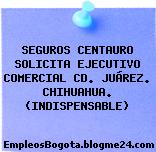 SEGUROS CENTAURO SOLICITA EJECUTIVO COMERCIAL CD. JUÁREZ. CHIHUAHUA. (INDISPENSABLE)
