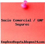 Socio Comercial / GNP Seguros