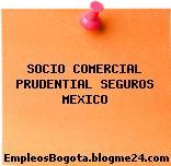 SOCIO COMERCIAL PRUDENTIAL SEGUROS MEXICO